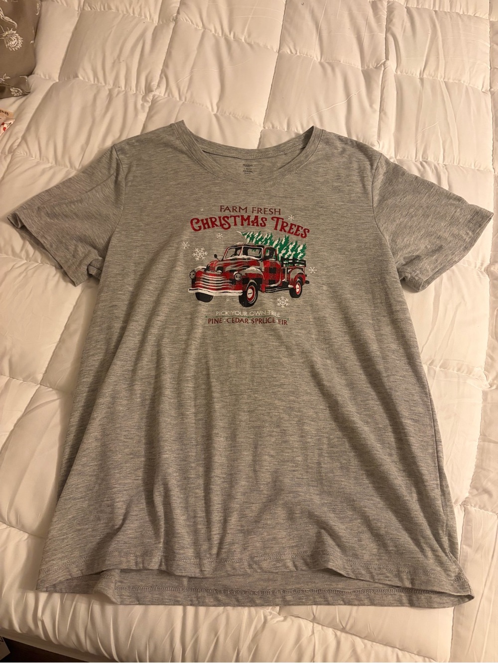 Holiday Time Gray Short Sleeve Tee with Red Truck Christmas Graphic